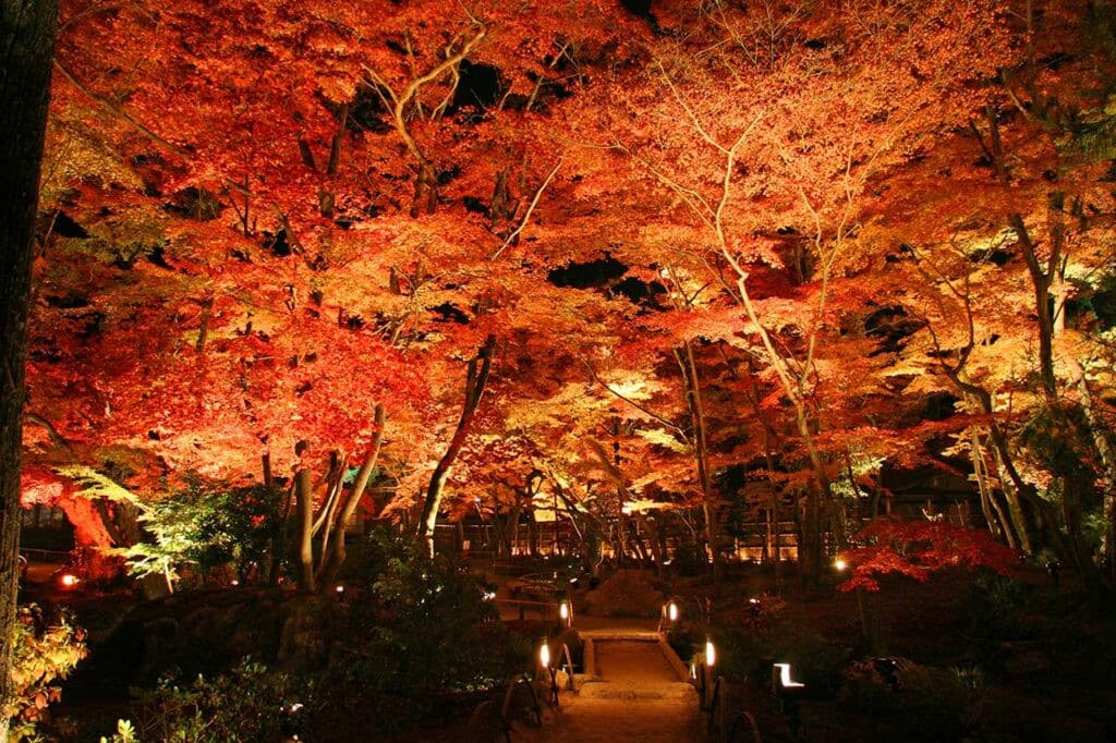 寶嚴院