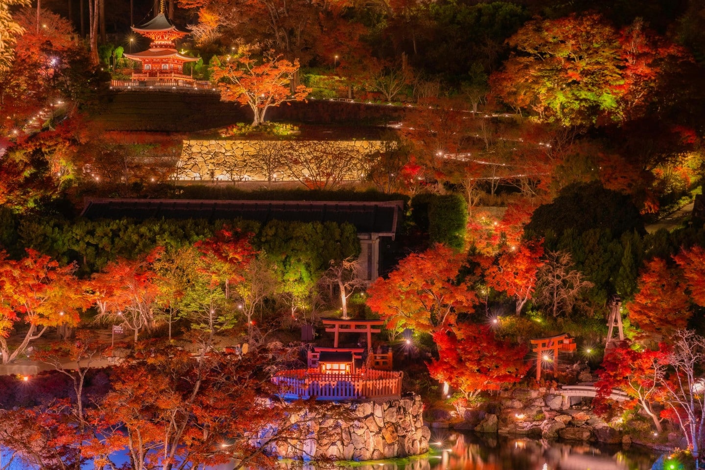 紅葉夜間點燈