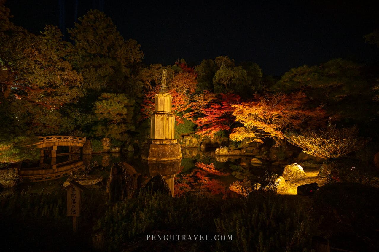 紅葉夜間點燈特別參拜:11月限定的浪漫感體驗