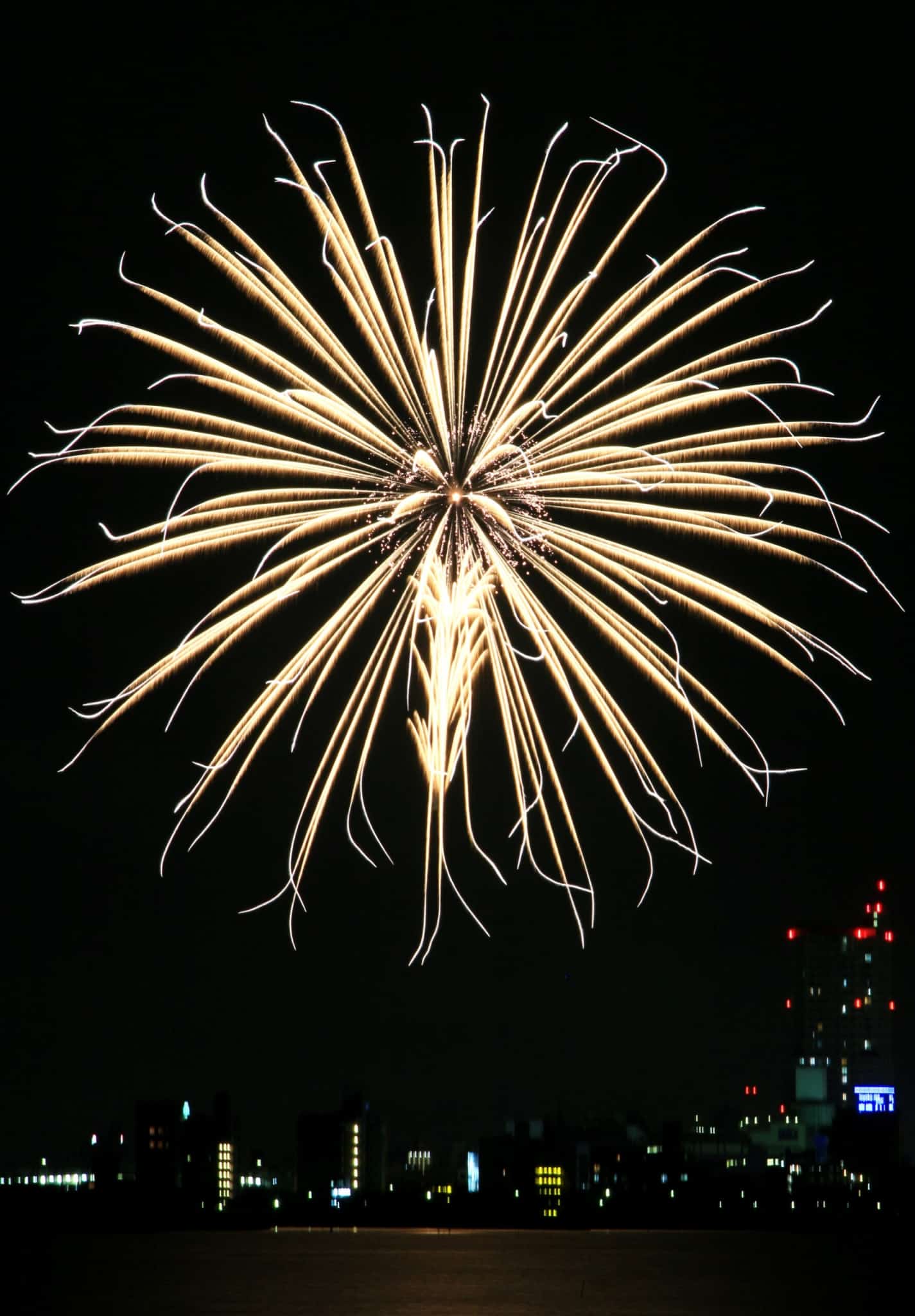 Tsuchiura All Japan Fireworks Competition | Visit | IBARAKI GUIDE