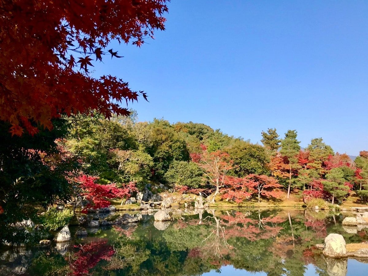 曹源池庭園