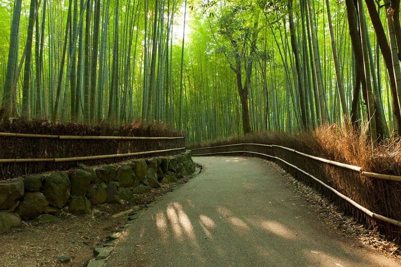 嵯峨野竹林小徑