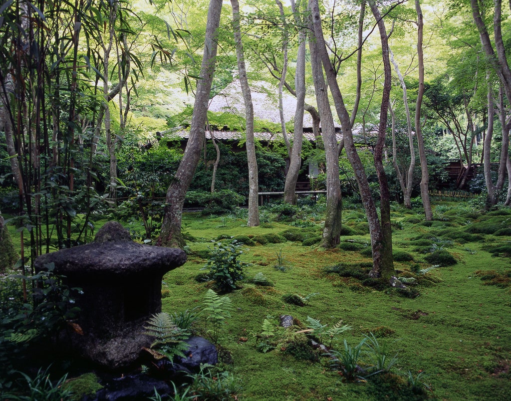 祇王寺