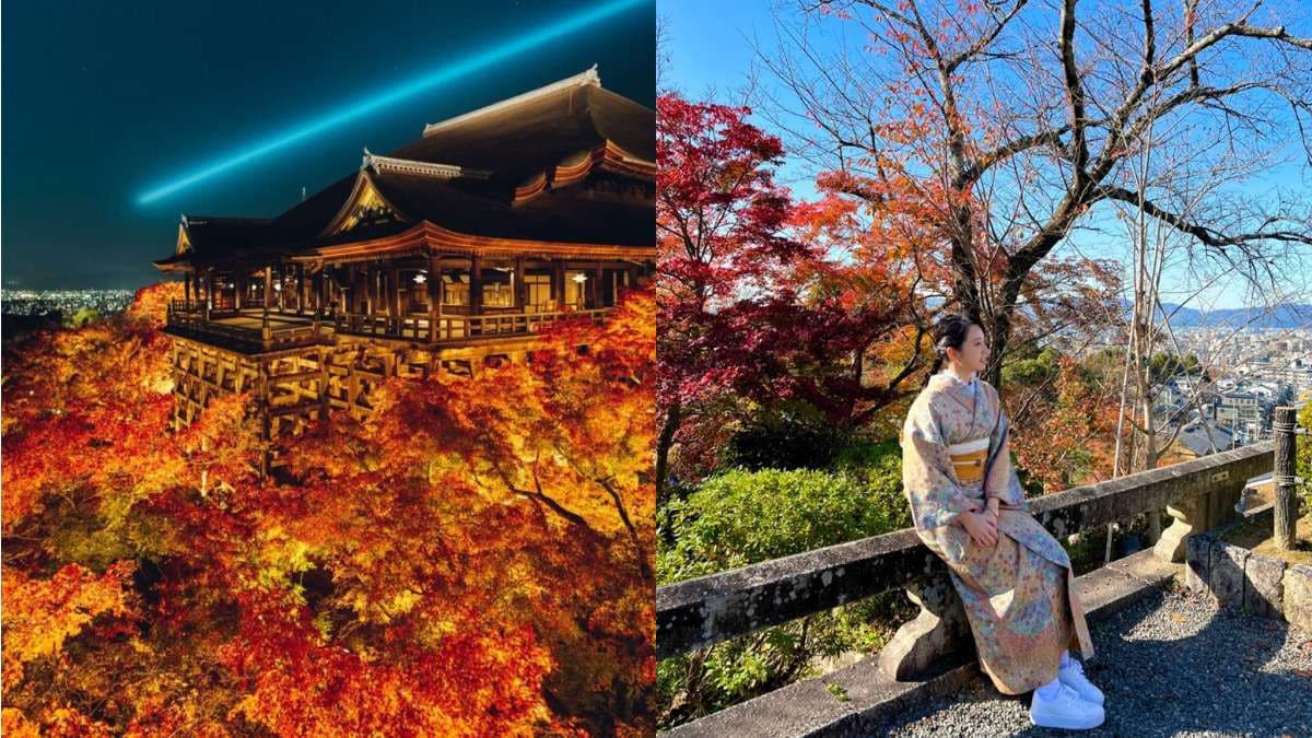 京都文化財特別公開套票:一票暢遊東山周邊多處寺院