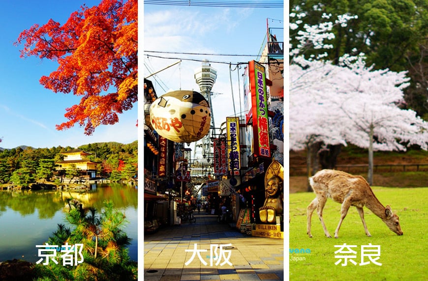 京都嵐山・仁和寺賞櫻一日遊：交通接送＋中文導覽省心省力
