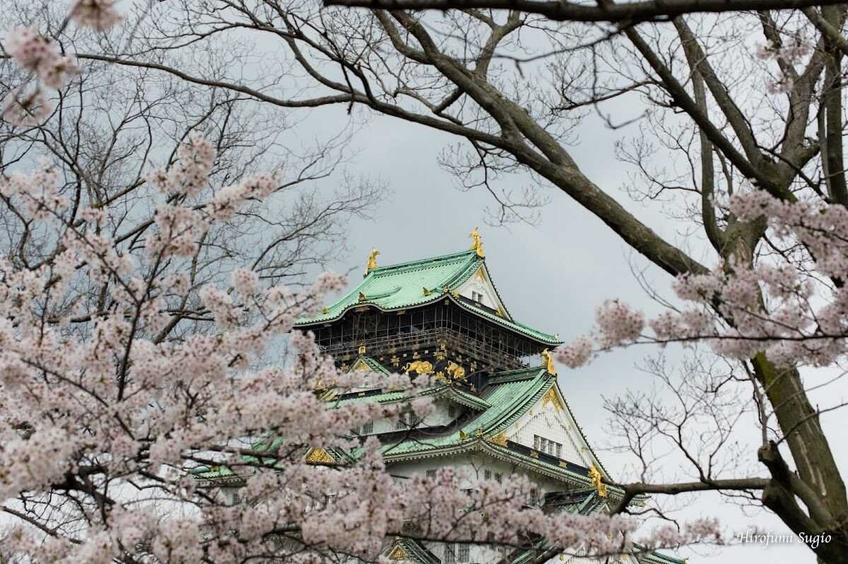 大阪城公園套票：天守閣門票結合西之丸庭園賞櫻賞楓景點