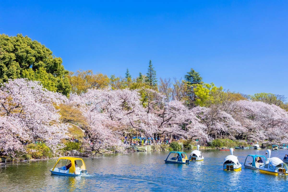井之頭恩賜公園