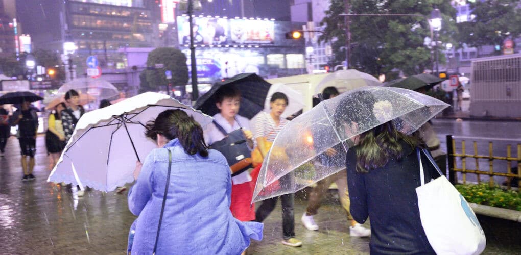 颱風季與突發天氣因應