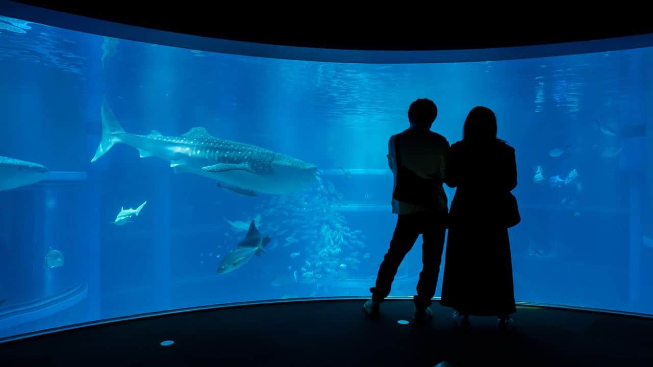 海遊館