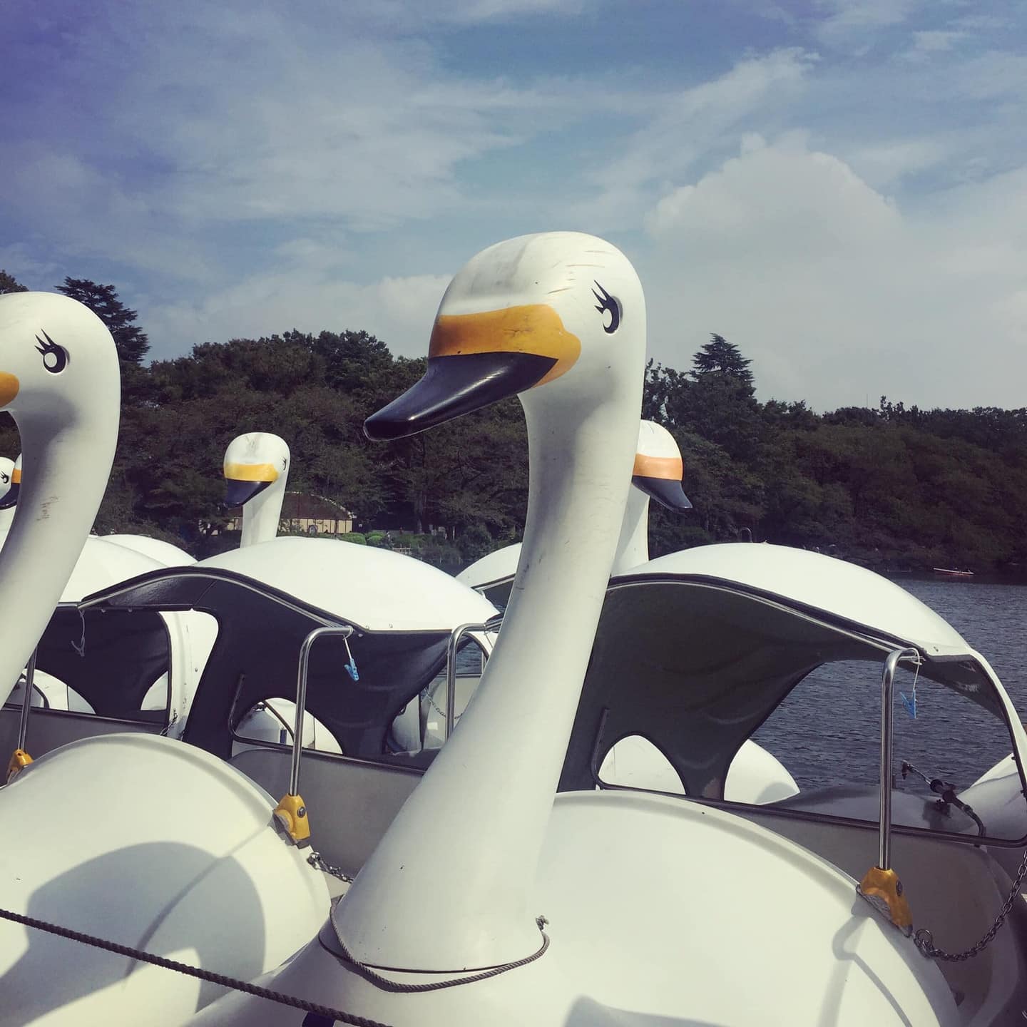 井之頭恩賜公園