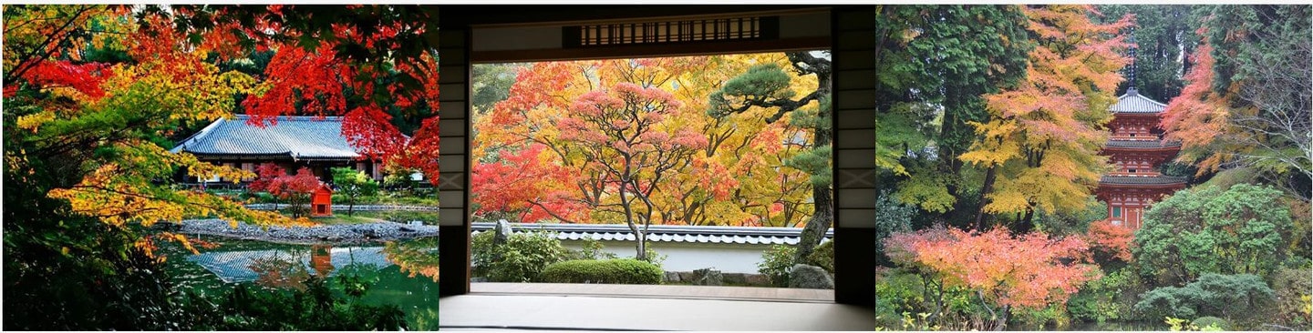 2026年紅葉見頃時間表
