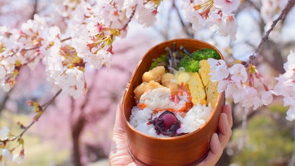 花見便當與限定櫻花商品