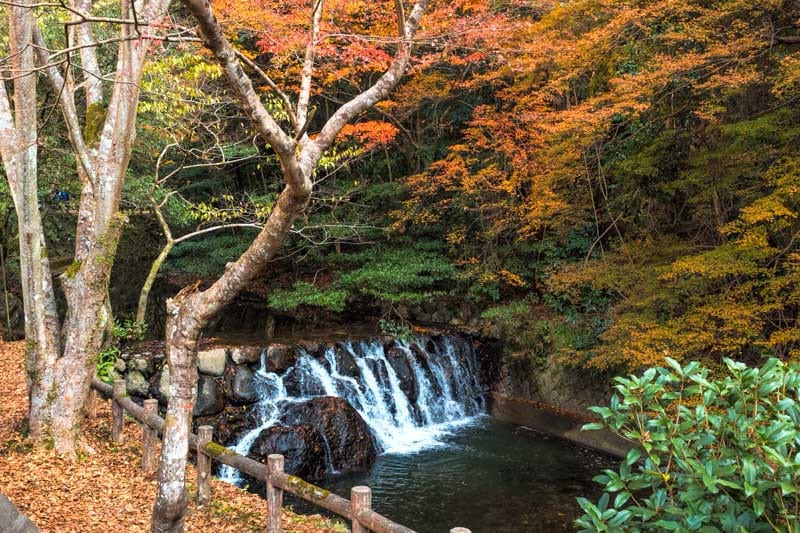箕面公園