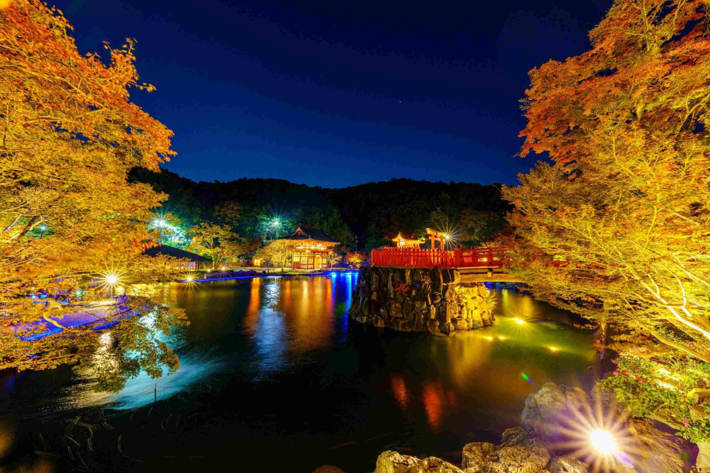 夜楓體驗