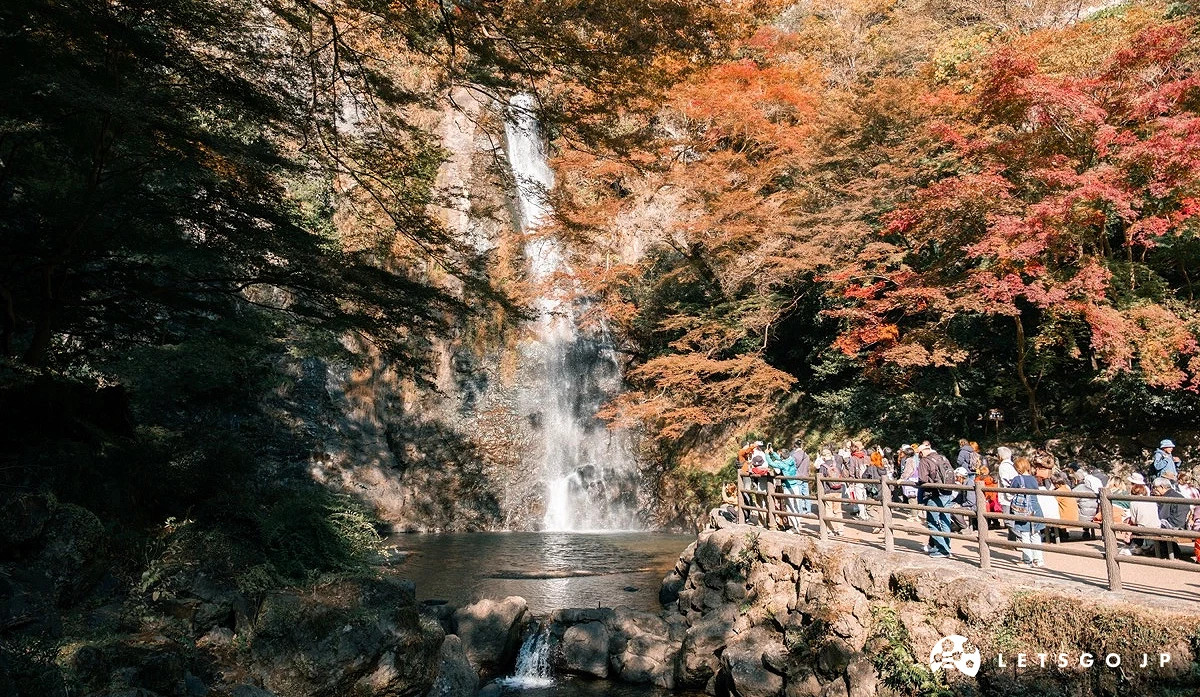 箕面公園紅葉谷:近郊瀑布秘境的一日健行行程