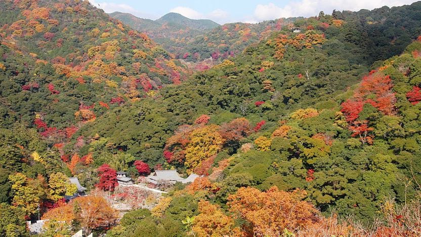 箕面公園概覽