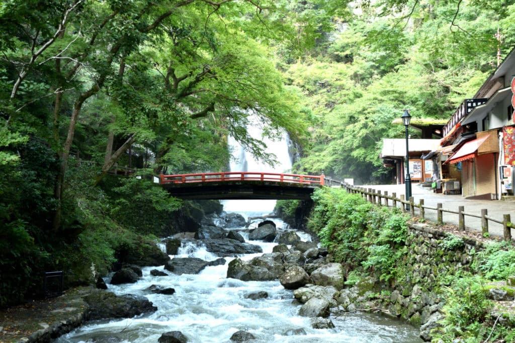 箕面夏季消暑體驗