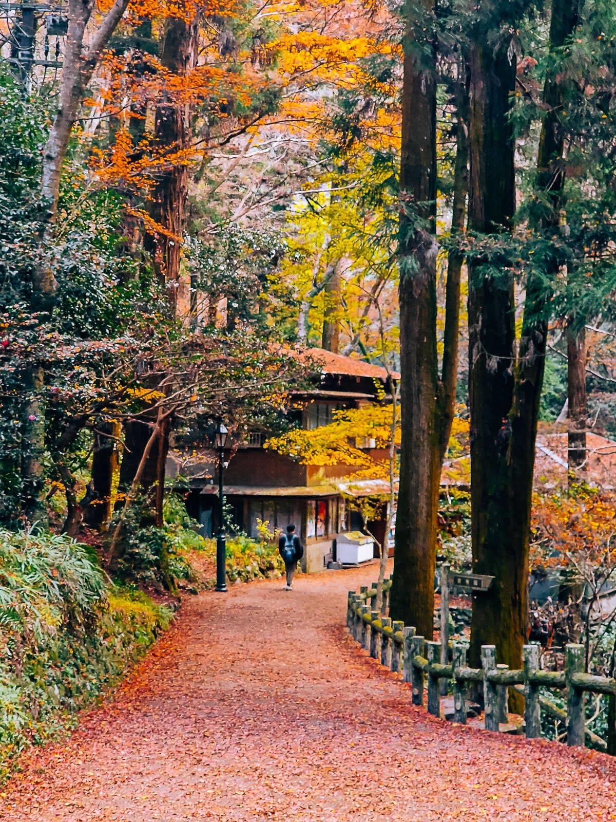 箕面瀧道