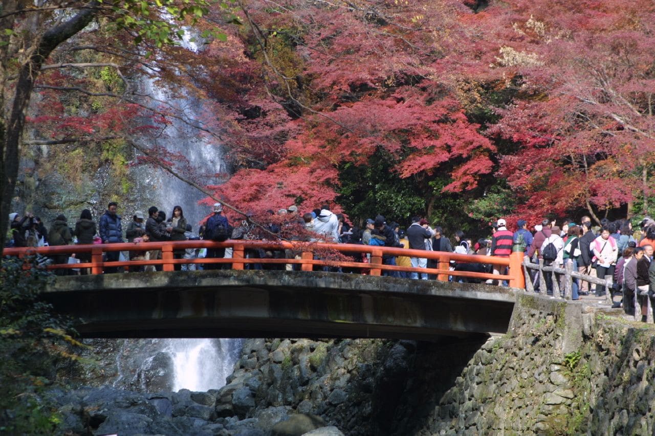 明治之森箕面國定公園