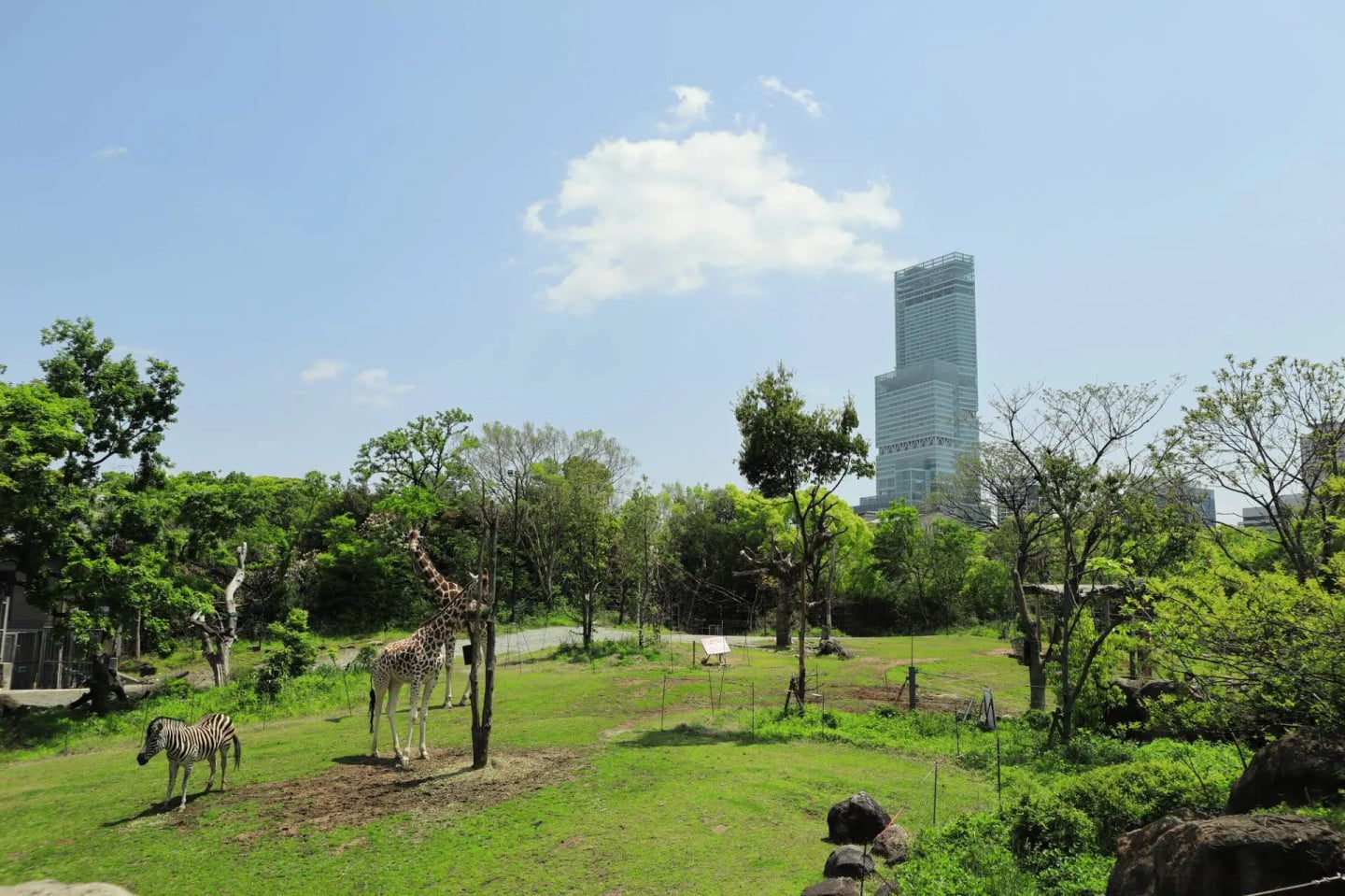 天王寺動物園小檔案