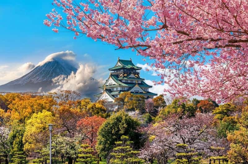 春季賞花與限定活動