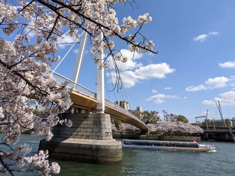大川河岸步道