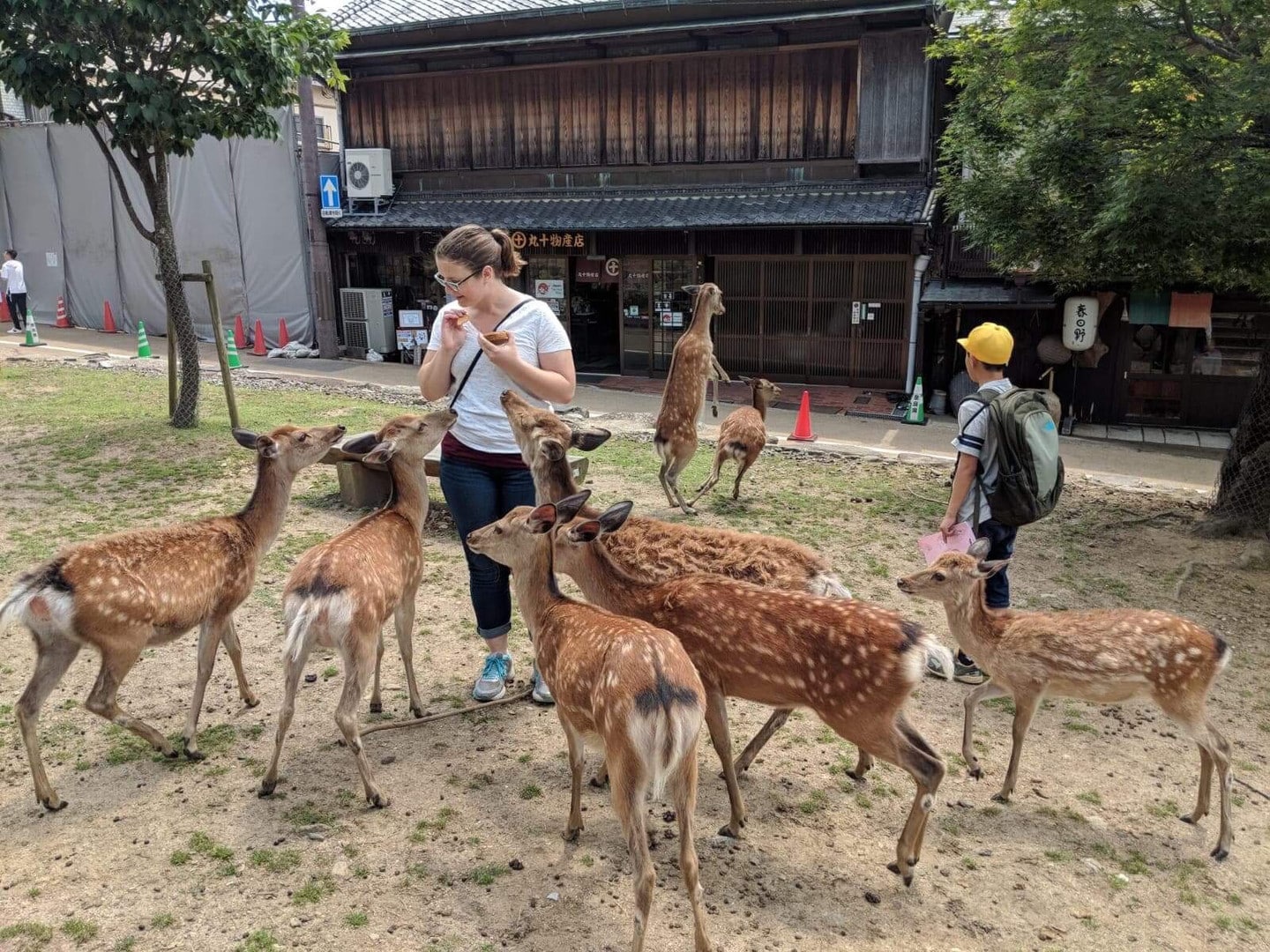 奈良公園