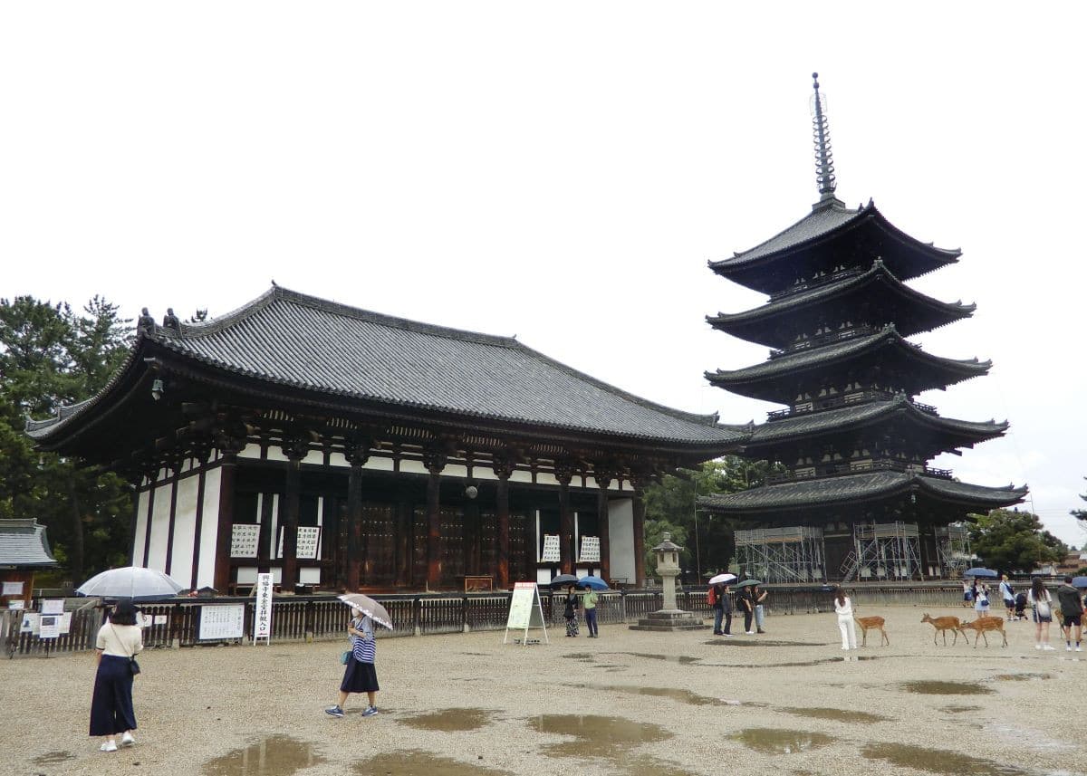 興福寺