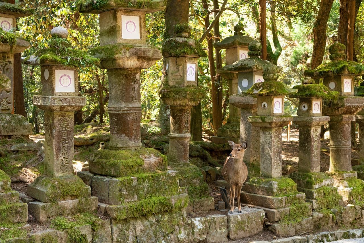 春日大社