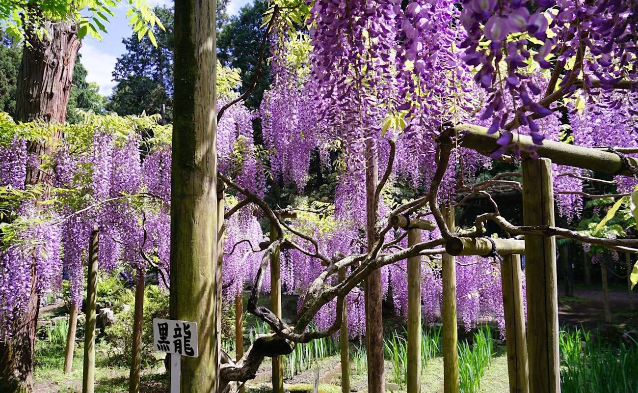 萬葉植物園