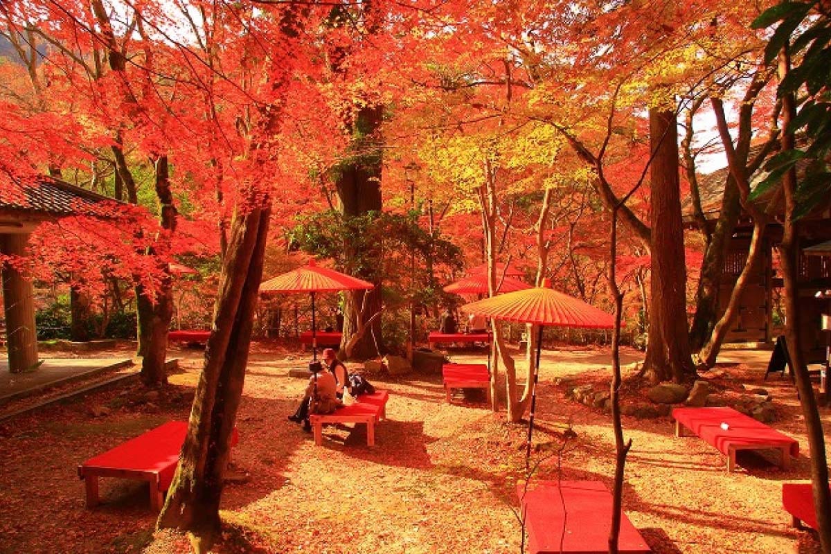 瑞寶寺公園