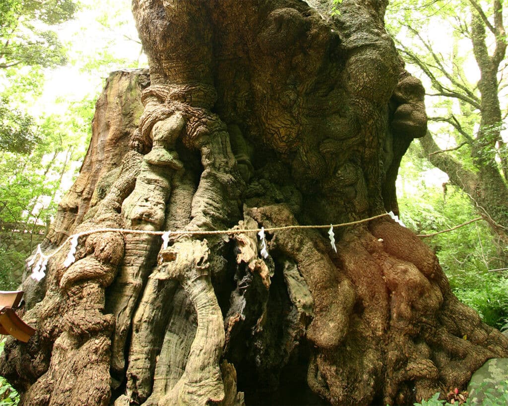 來宮神社