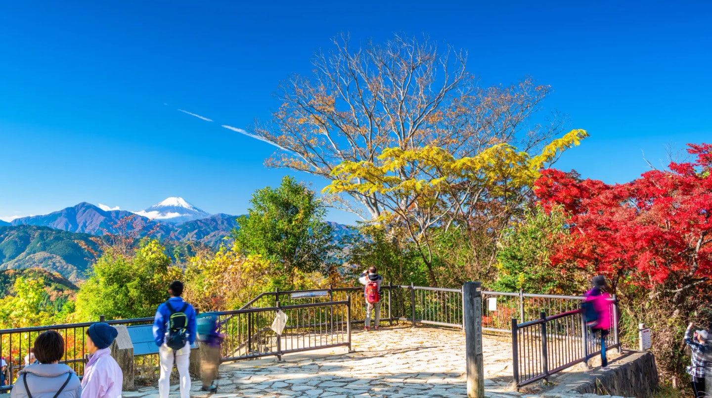 高尾山四季祭典與賞景時節