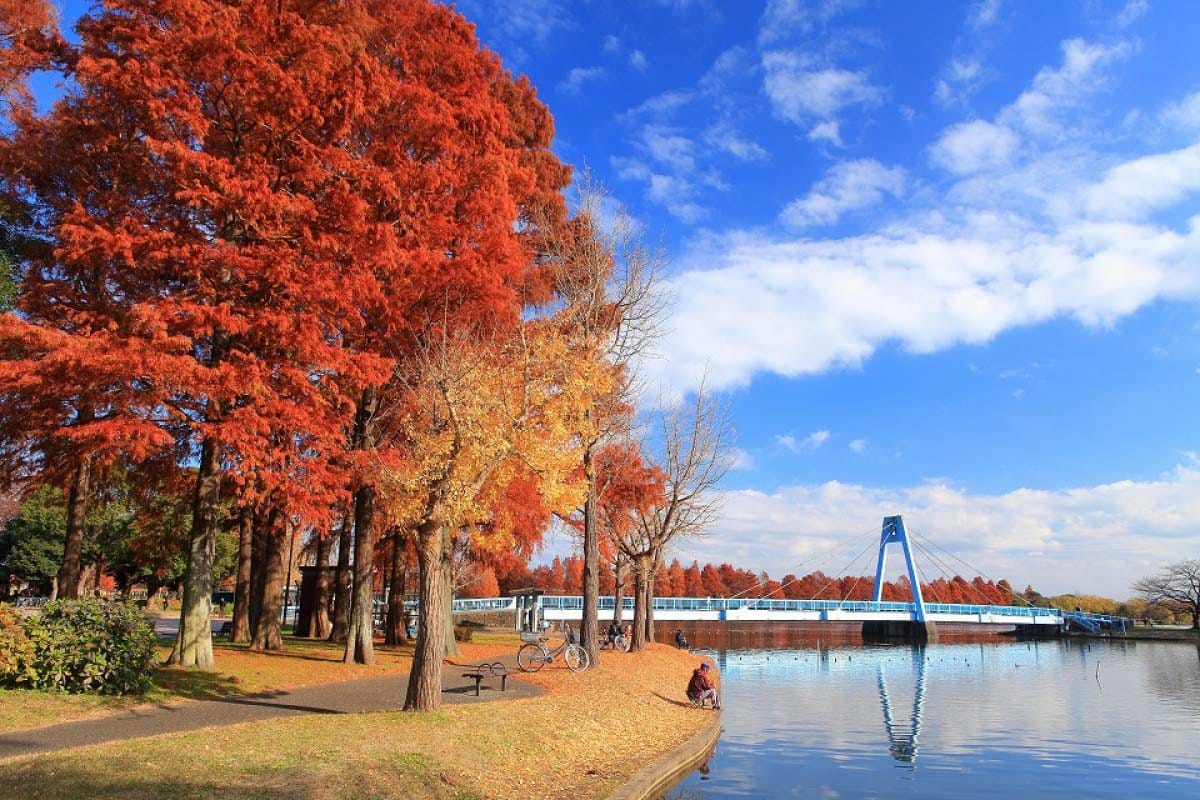 水元公園