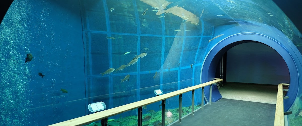 琵琶湖博物館