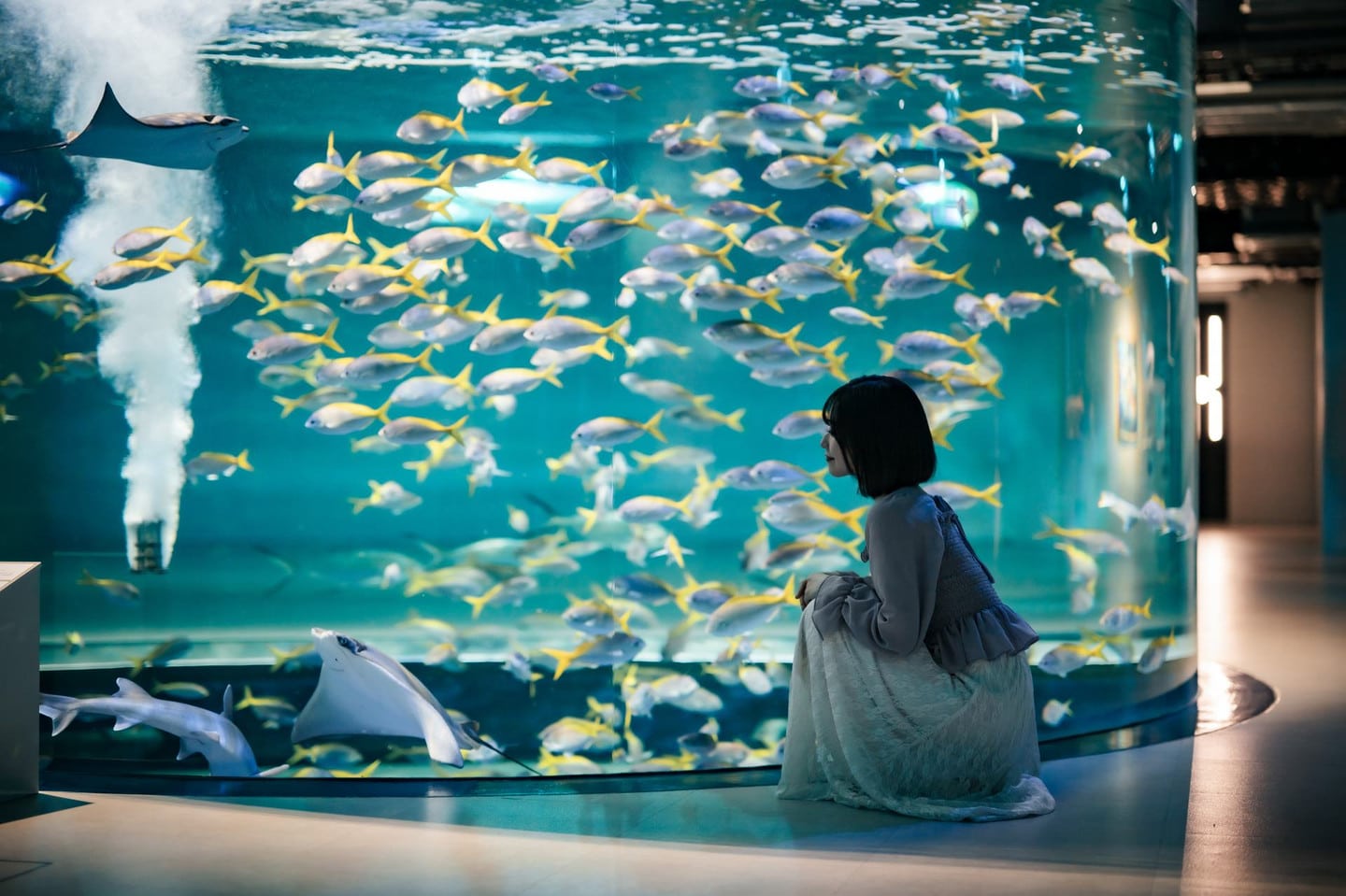 AQUARIUM×ART átoa