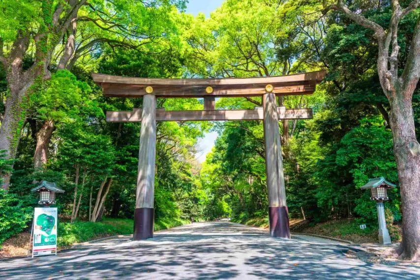 Your Guide to Meiji Jingu Shrine in Tokyo: Best Things to Do, Attractions,  and Nearby Restaurants - WAmazing Discover