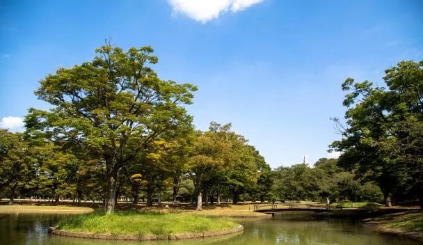 TRUNK飯店代代木公園