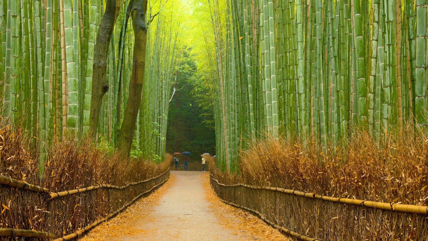 嵐山渡月橋・竹林小徑套裝導覽行程