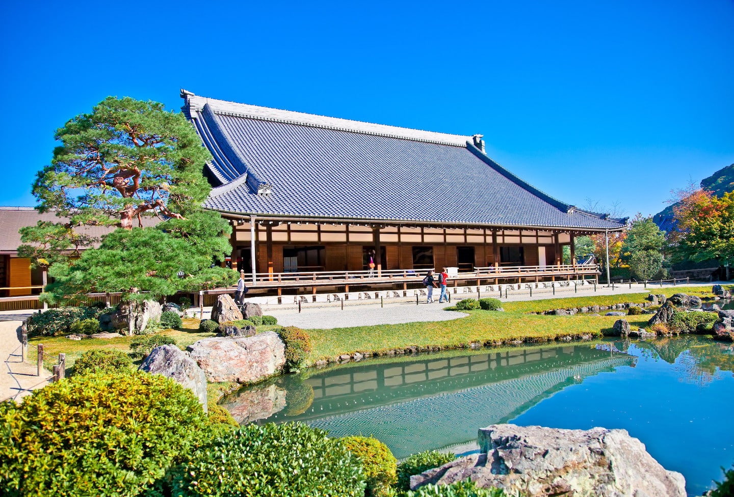 嵐山地區周邊景點聯票（天龍寺・野宮神社）