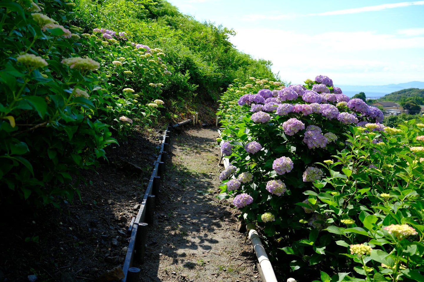 雙太山公園：避開人潮的高地穴場