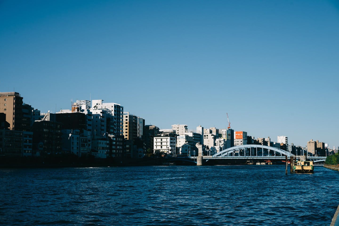 隱藏觀賞點:市川側河堤