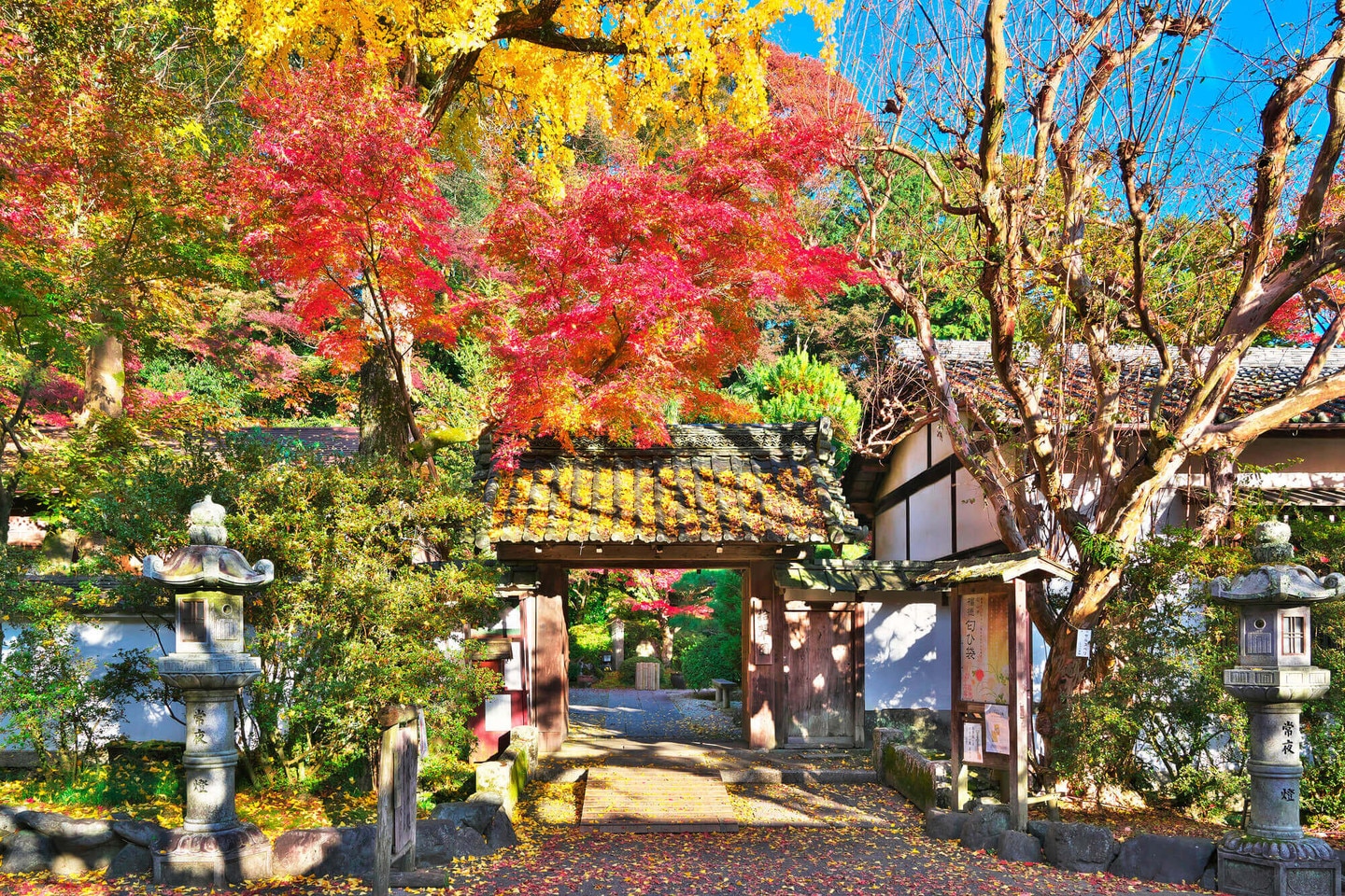 石山寺