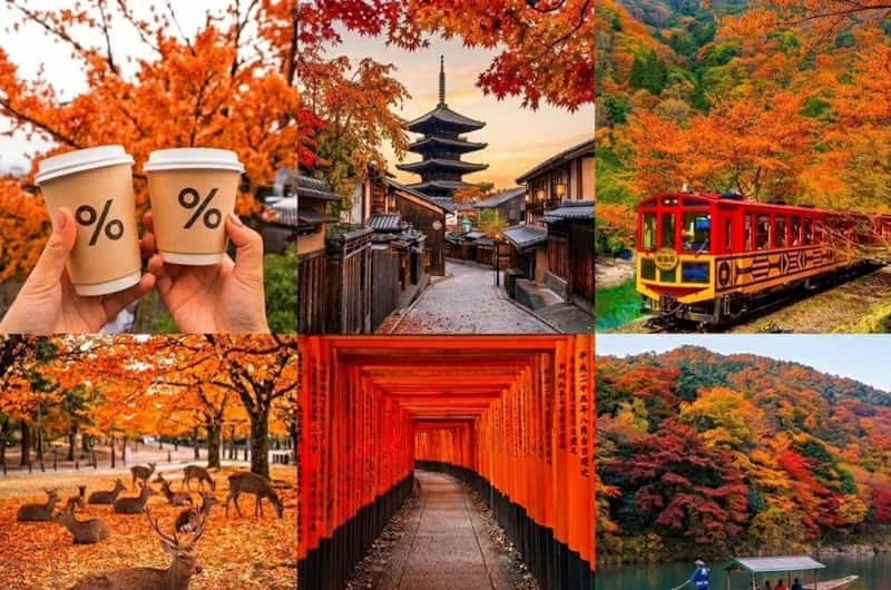 伏見稻荷大社千本鳥居導覽行程