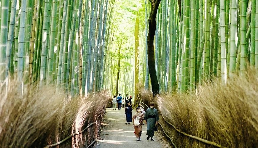 京都嵐山一日遊：從難波出發的古都輕旅行