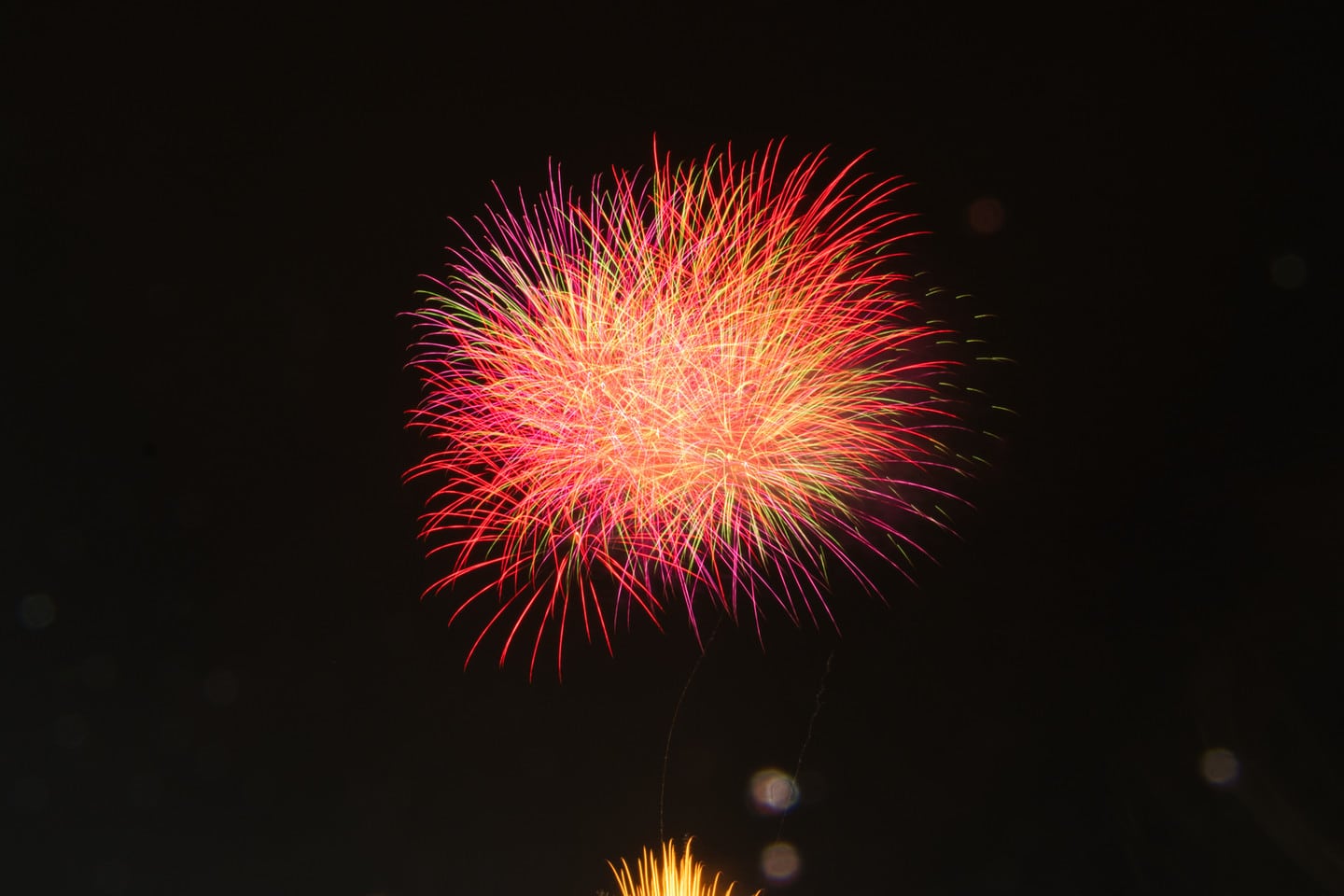 秋夜花火示意