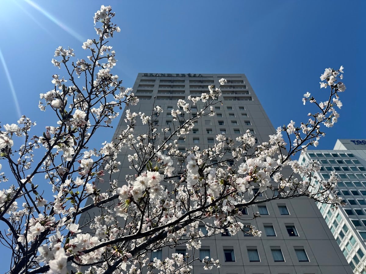Sotetsu Grand Fresa Tokyo-Bay Ariake
