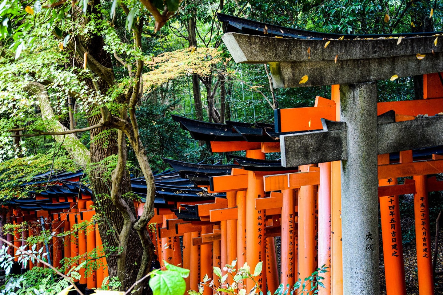 蒼柴神社