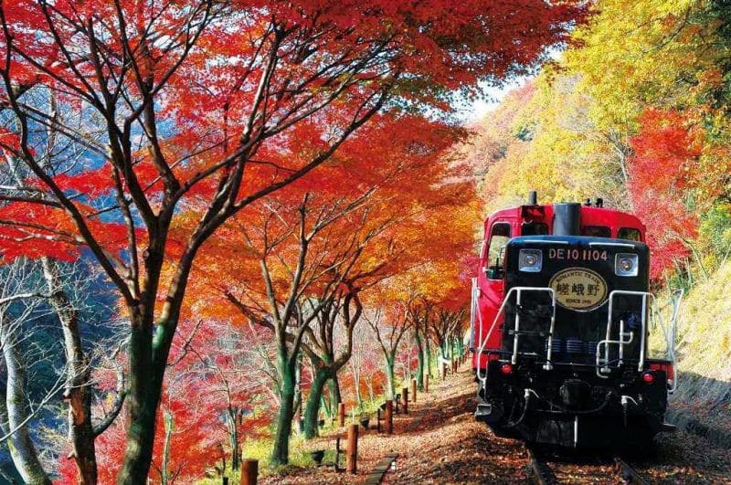 JR嵯峨野線