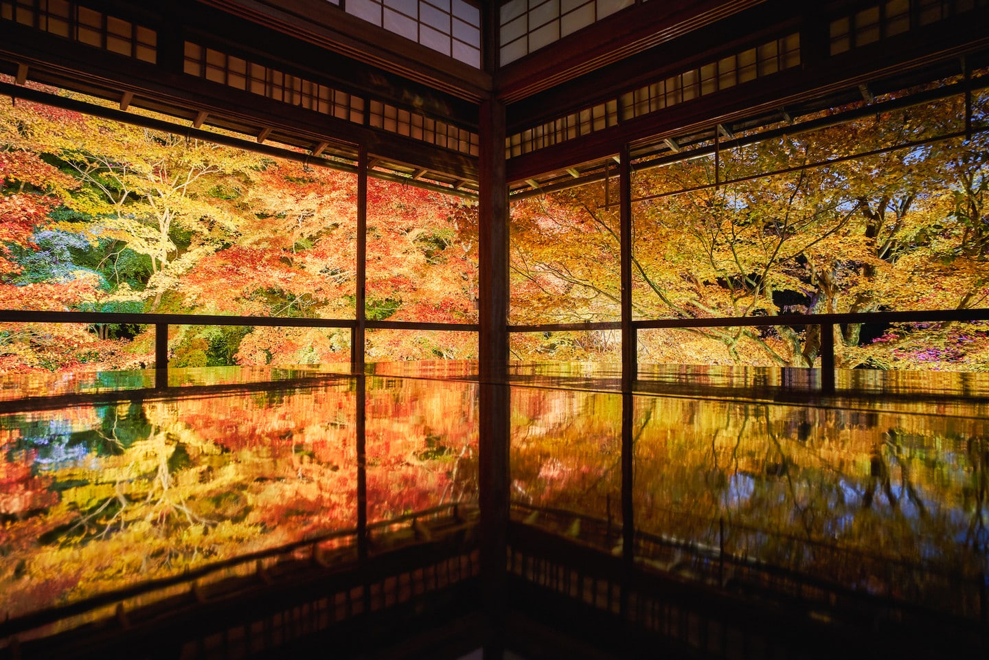 京都賞楓特色